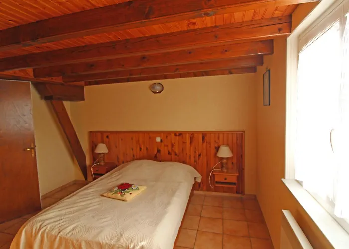 Au Coeur De - Animaux Ok - Fr-1-589-847 *