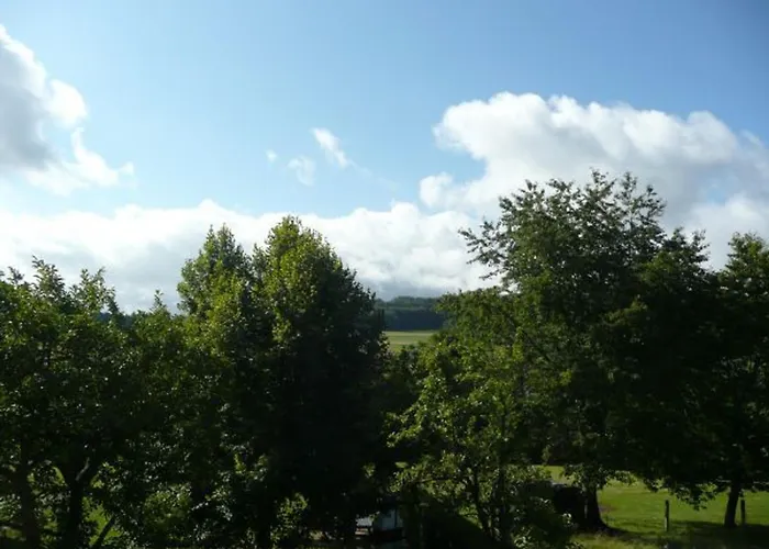 Au Coeur De - Animaux Ok - Fr-1-589-847 * Jussarupt